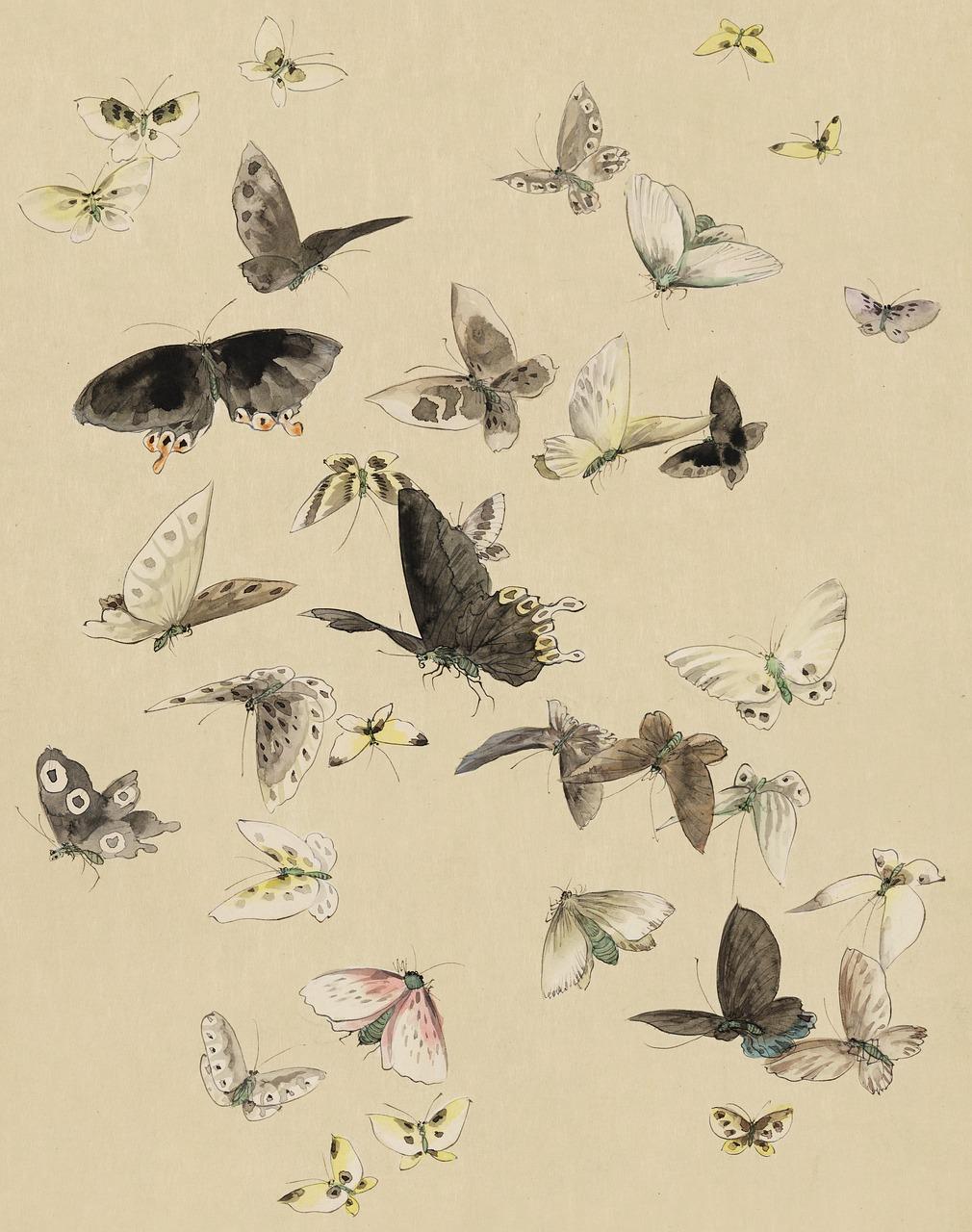 4. 社区环境揭秘