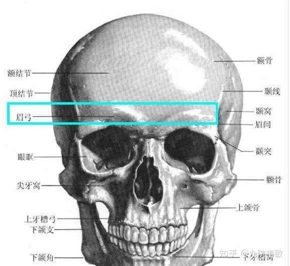 九院韦敏 | 眉弓整形相关科普 - 知乎