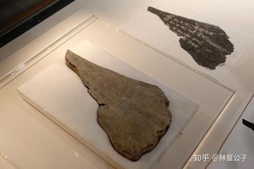 出土三千年前的一片牛肩胛骨,颠覆了《尚书》《史记》的重大记载 出土三千年前的一片牛肩胛骨,颠覆了《尚书》《史记》的重大记载