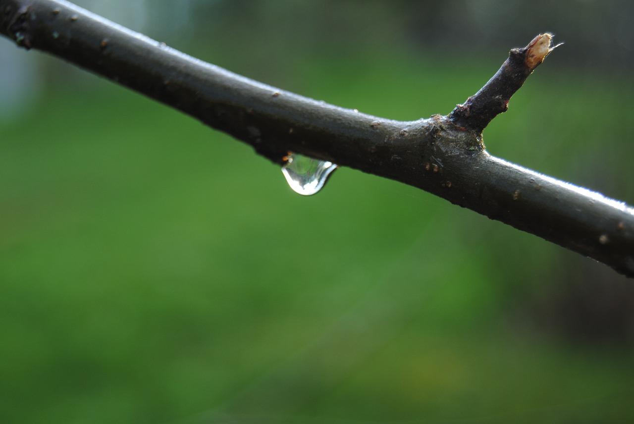 4. 摇臂喷灌费用