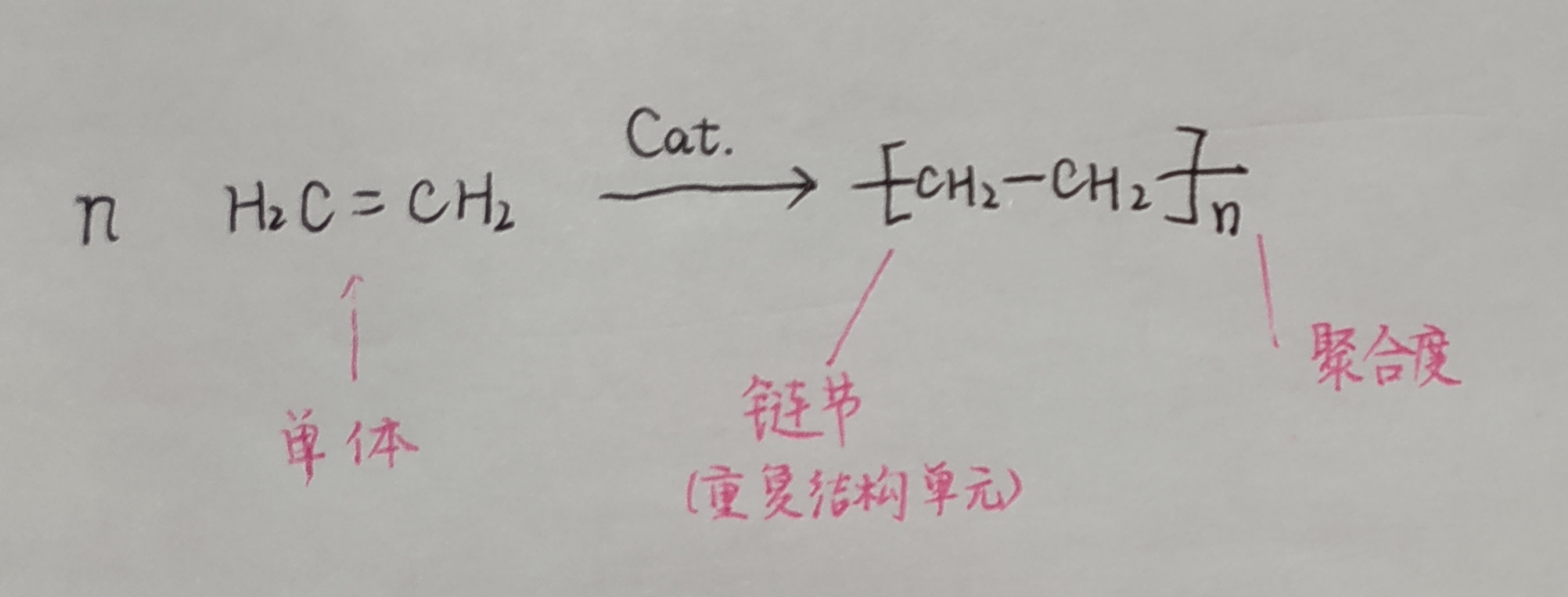 链节和单体区别图片