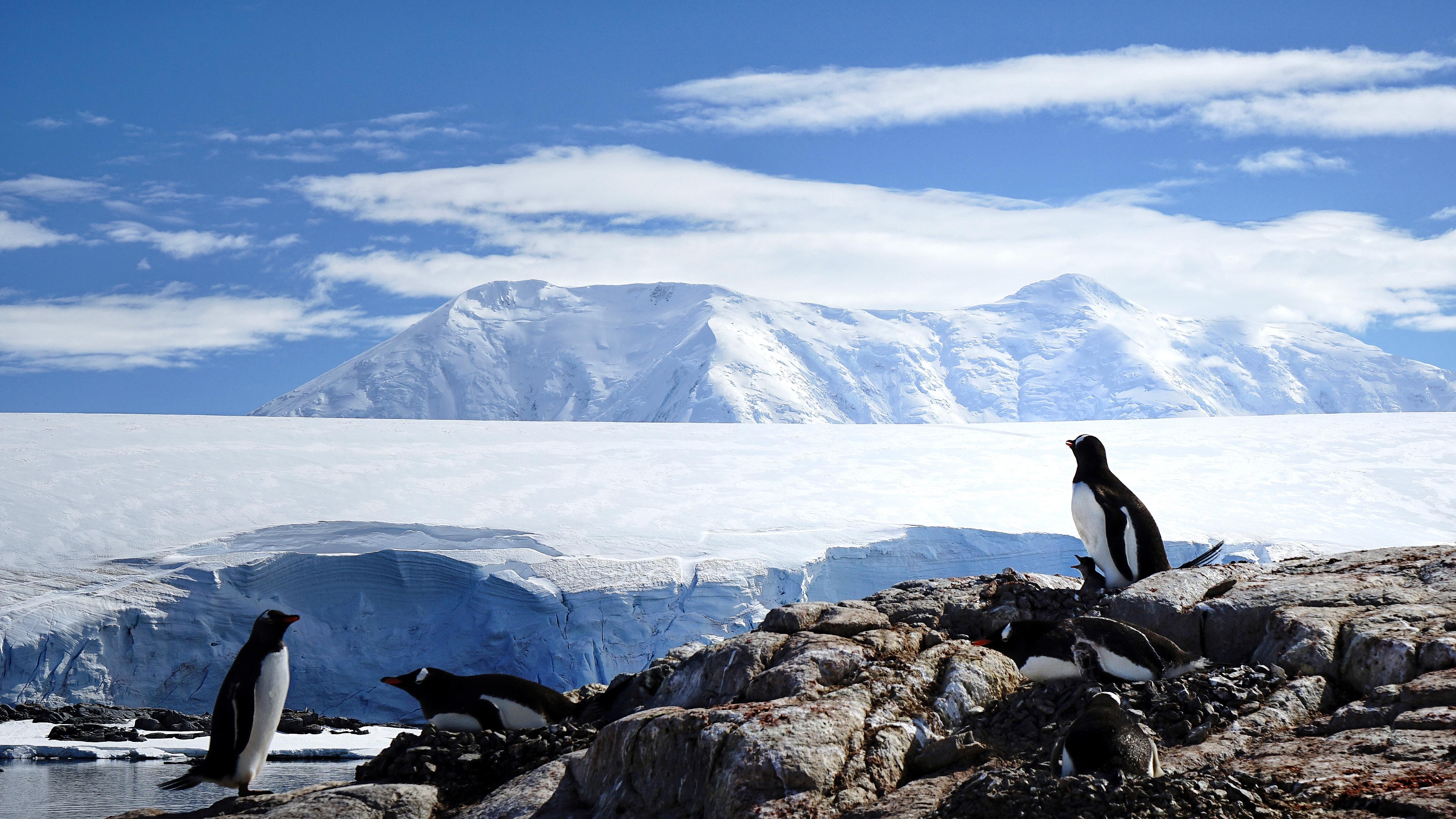 南极旅行的体验是怎样的? - 知乎
