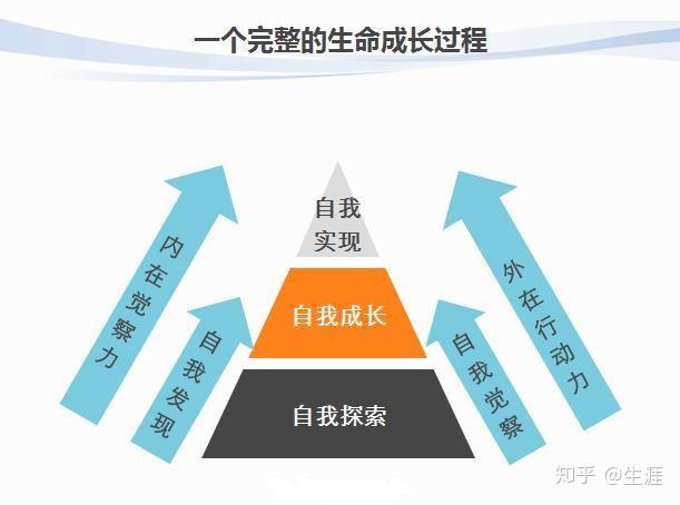 中的情感纠葛与人生哲理