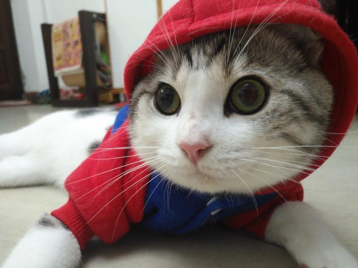 如何用python快速从Verilog中提取所有module - 知乎