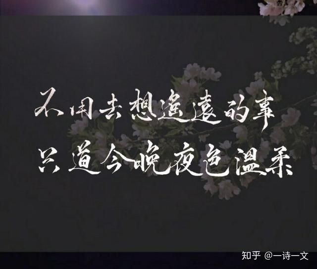 现在就是最好的时光 v2-40281ed4fa36cfde7e3065855736f7f0_r.jpg