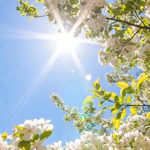 有没有什么惊艳的微信头像?-特别惊艳到人的微信头像