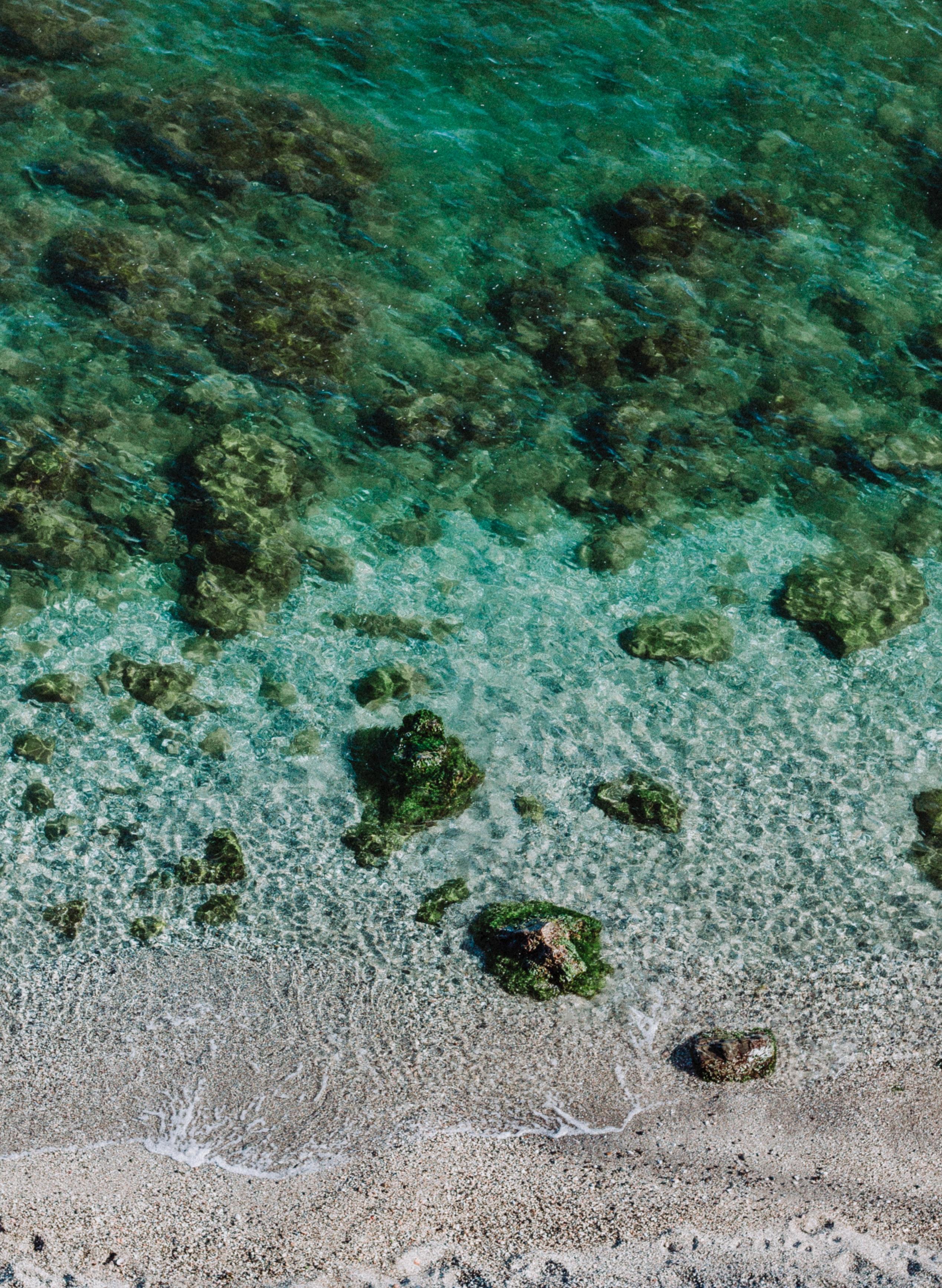 羸养成分录奥氏海藻提取物