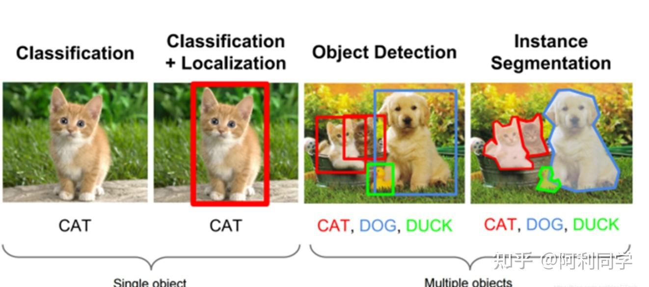 图像分类（手把手教你搭建分类模型） - 知乎