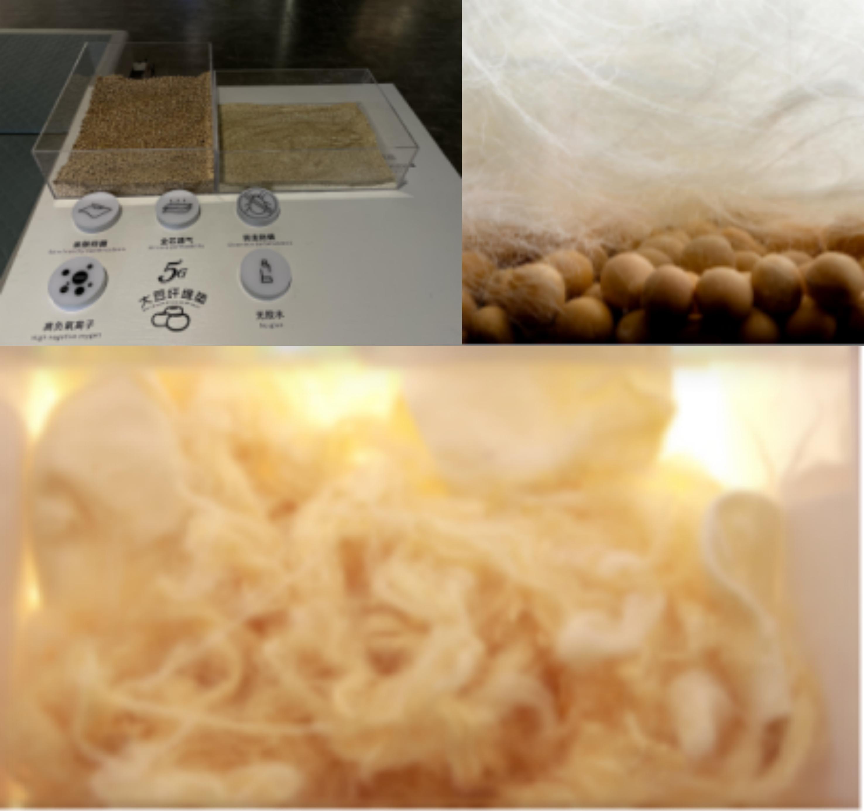 为什么说在大豆蛋白纤维的床垫上可以一觉到天亮?