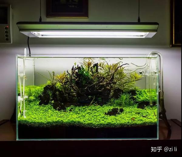 十种常用底床的综合评分 知乎