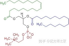 你需要知道的护肤万能手-卵磷脂 - 知乎