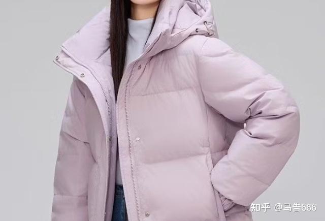 人气羽绒服品牌排行榜前十名,解答2026高口碑十大最新排名推荐 - 知乎
