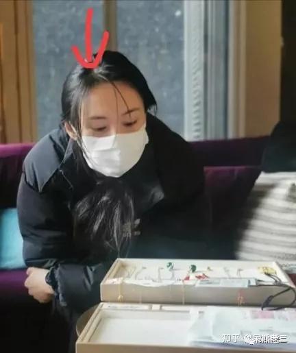 郑爽与张恒抚养权纠纷案在美国进行了第二次开庭审理