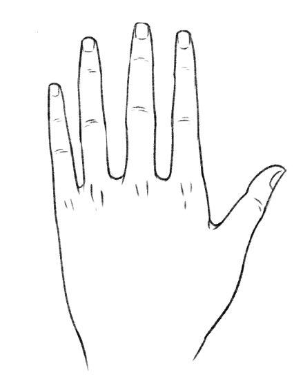 把手分成拇指,其他手指和手背三块来画.