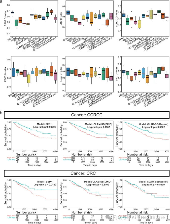 Nature Communications IF=15.7 | 突破性病理AI模型BEPH：实现多癌种诊断与生存预测的新基石 - 知乎