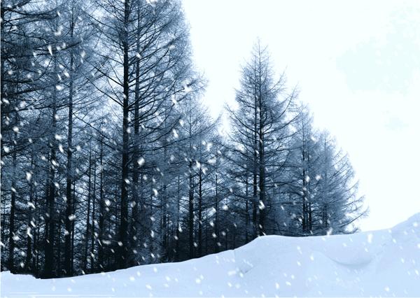 室内北风呼啸,大雪纷飞,人们的活动区域更集中于室内.