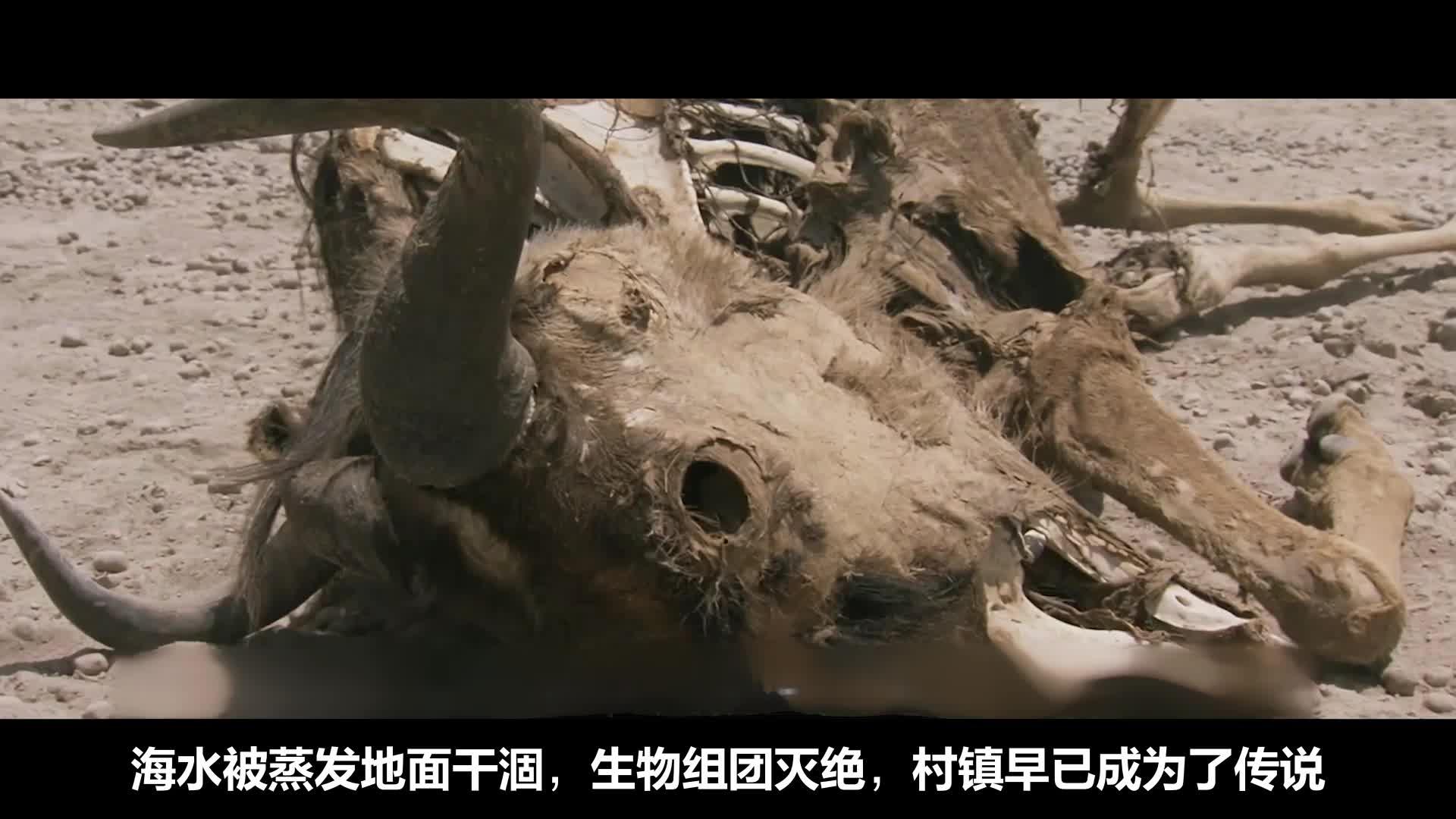 科幻猫鼬感染丧尸病毒整个动物园都遭殃变成了动物丧尸