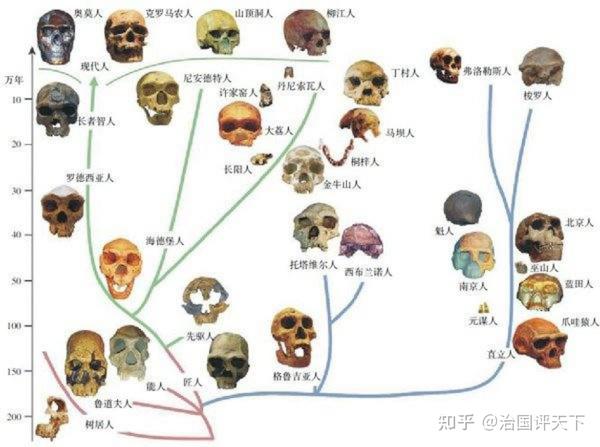 智人之间的关系 - 知乎