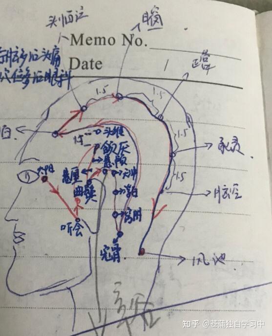 胆经的穴位在头部两侧好多！ - 知乎