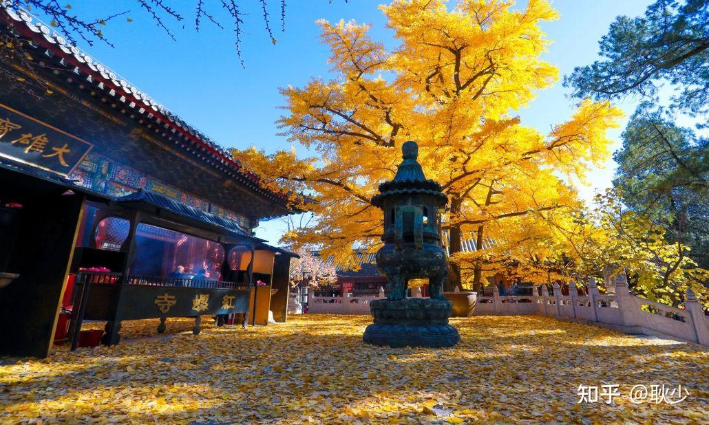 北京賞秋攻略團建之紅螺寺篇