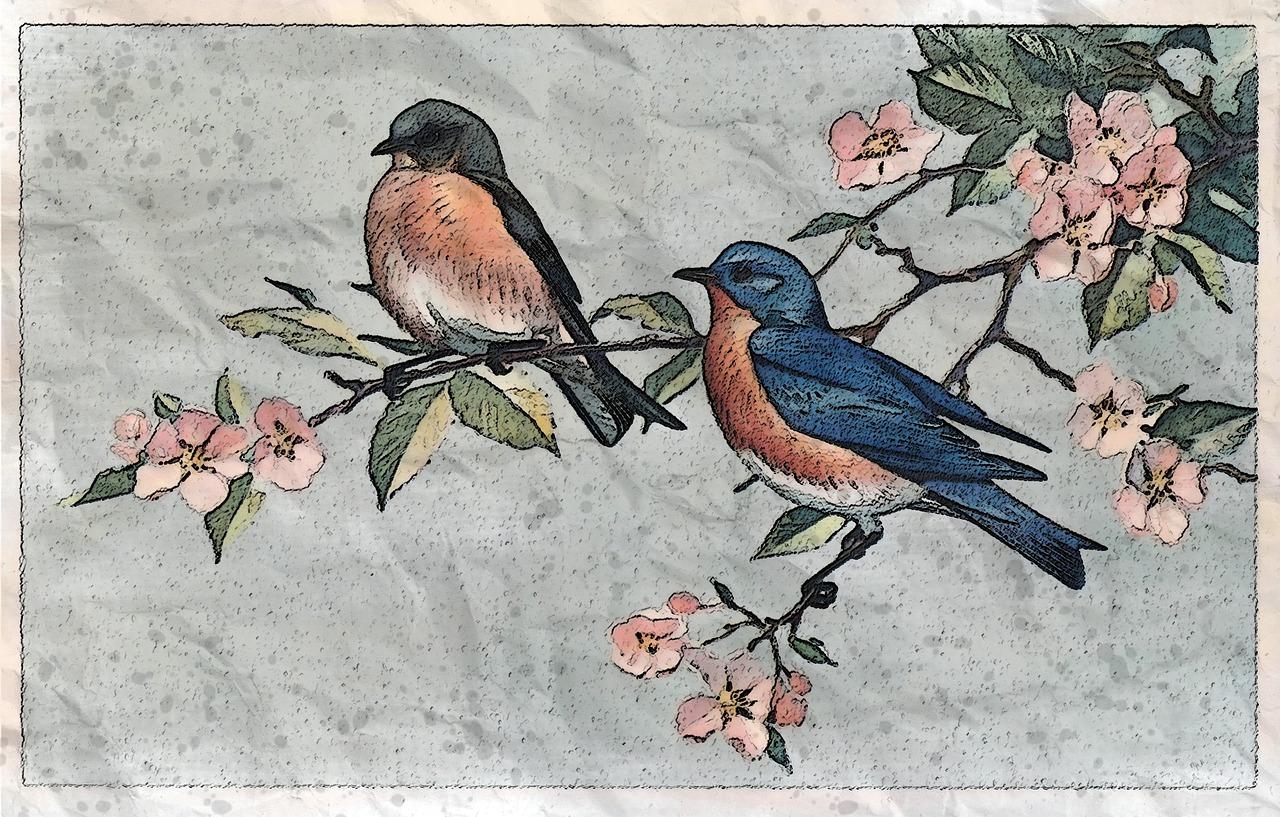 2. 芭蕉精起源探秘