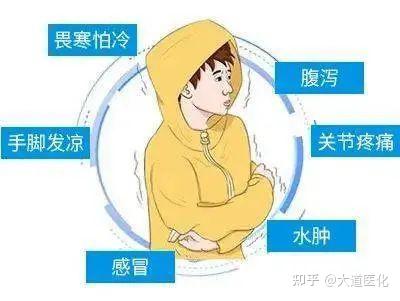 中医治未病——阳虚体质的辨识与调养 - 知乎