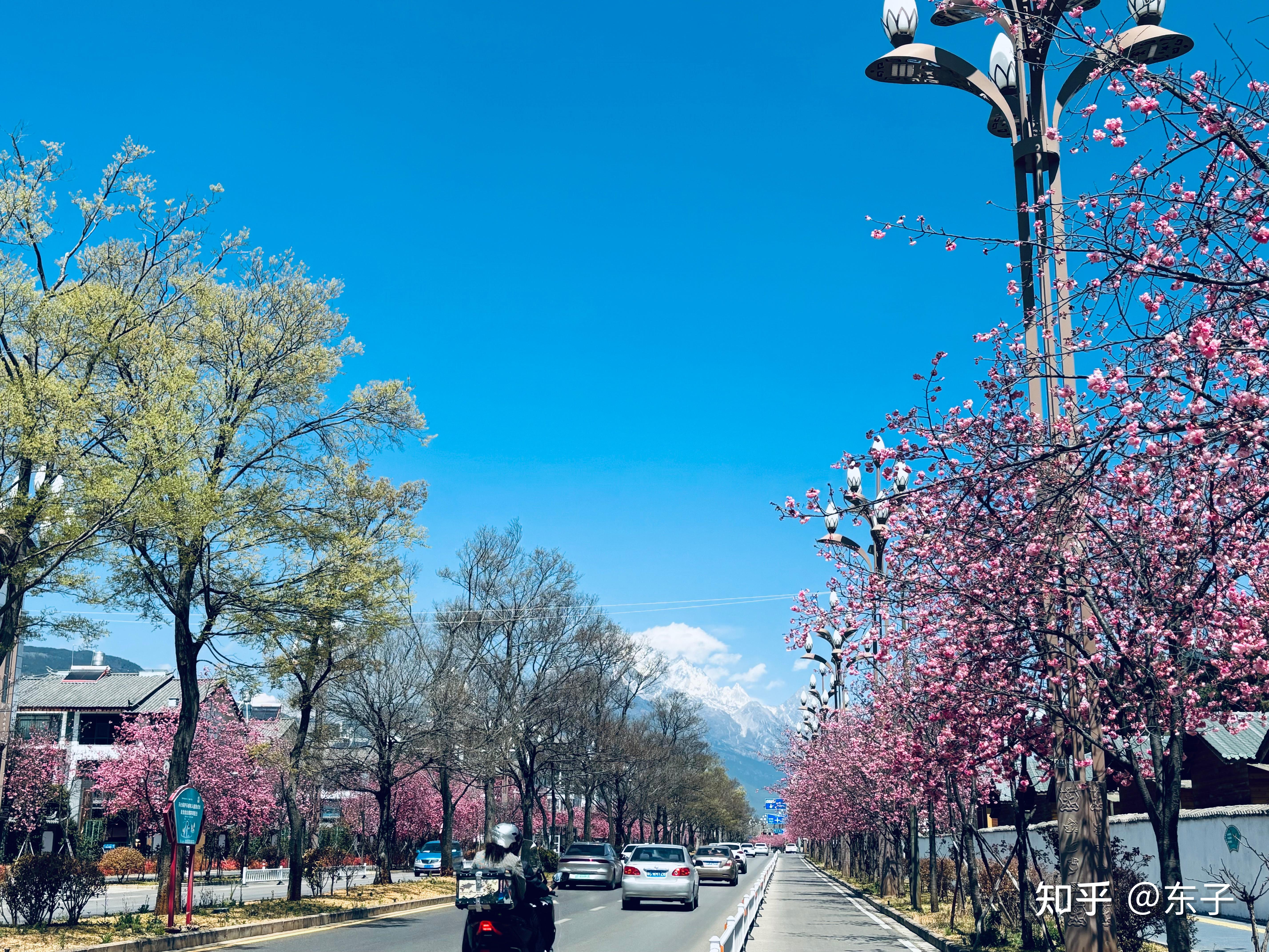 可以分享一张你相册里面的风景照吗