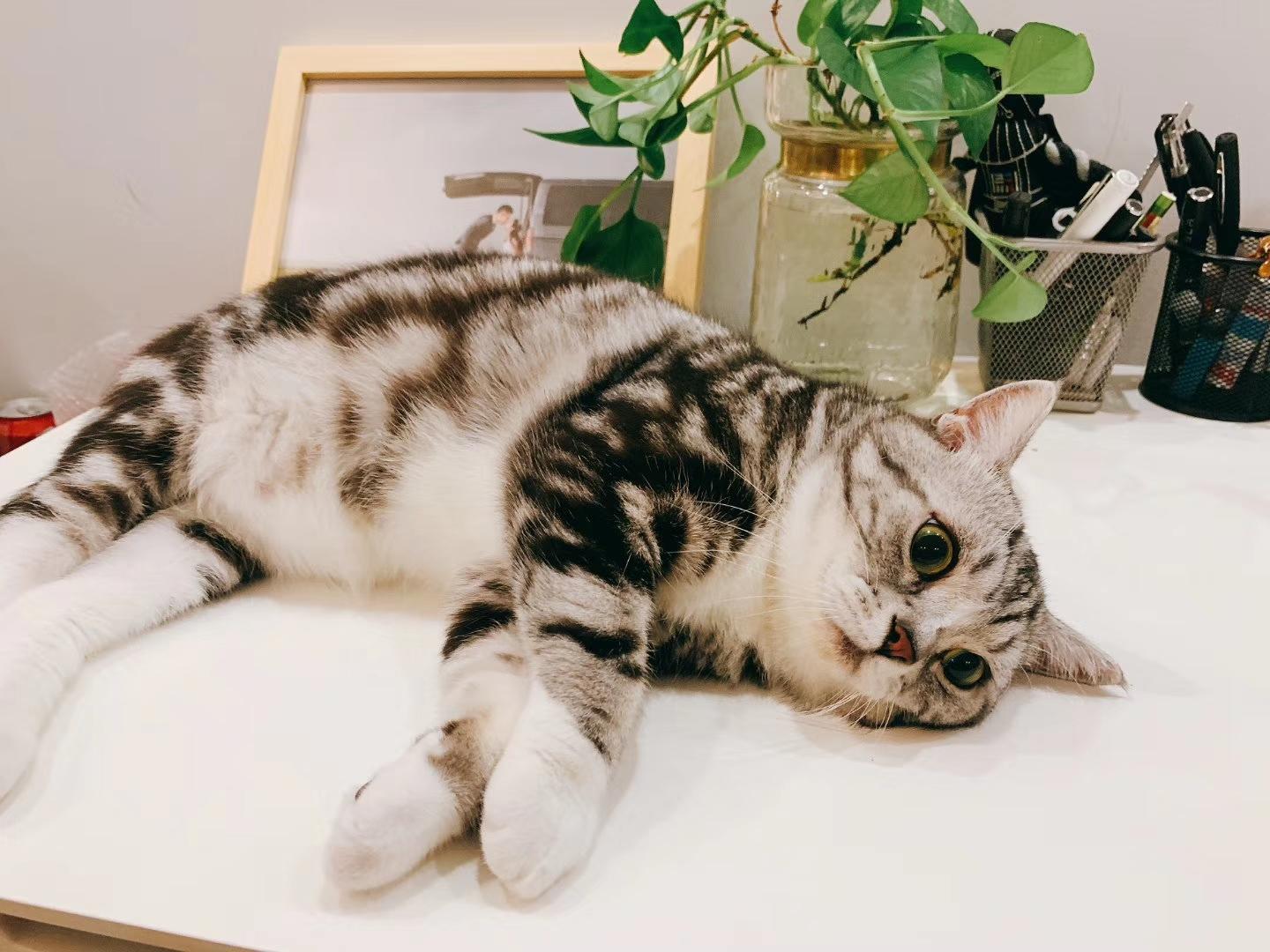 建筑工程师刘燃新鲜空气是健康生活的起点