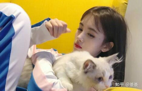 喜欢猫的女生什么性格？怎么追喜欢猫的女生 - 知乎
