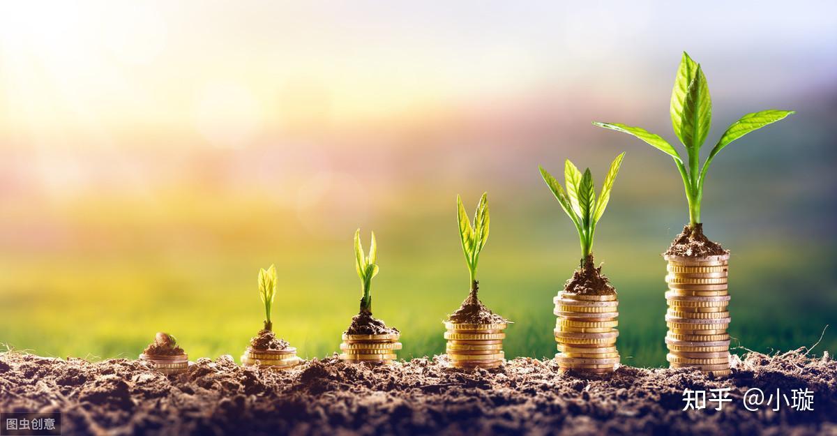 a股哪些股票是核心股,具备投资价值?