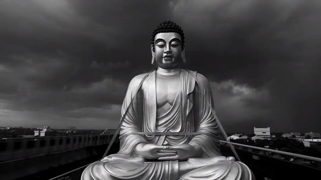 《大佛普拉斯》中的社会问题 - 知乎