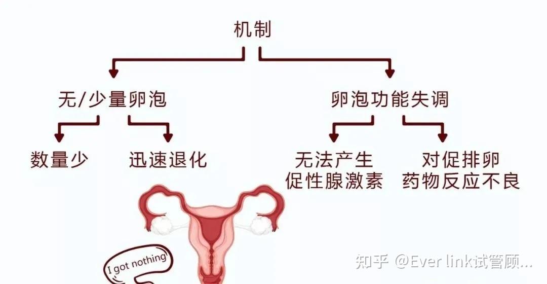 促排效果差?可能是遇上这种情况