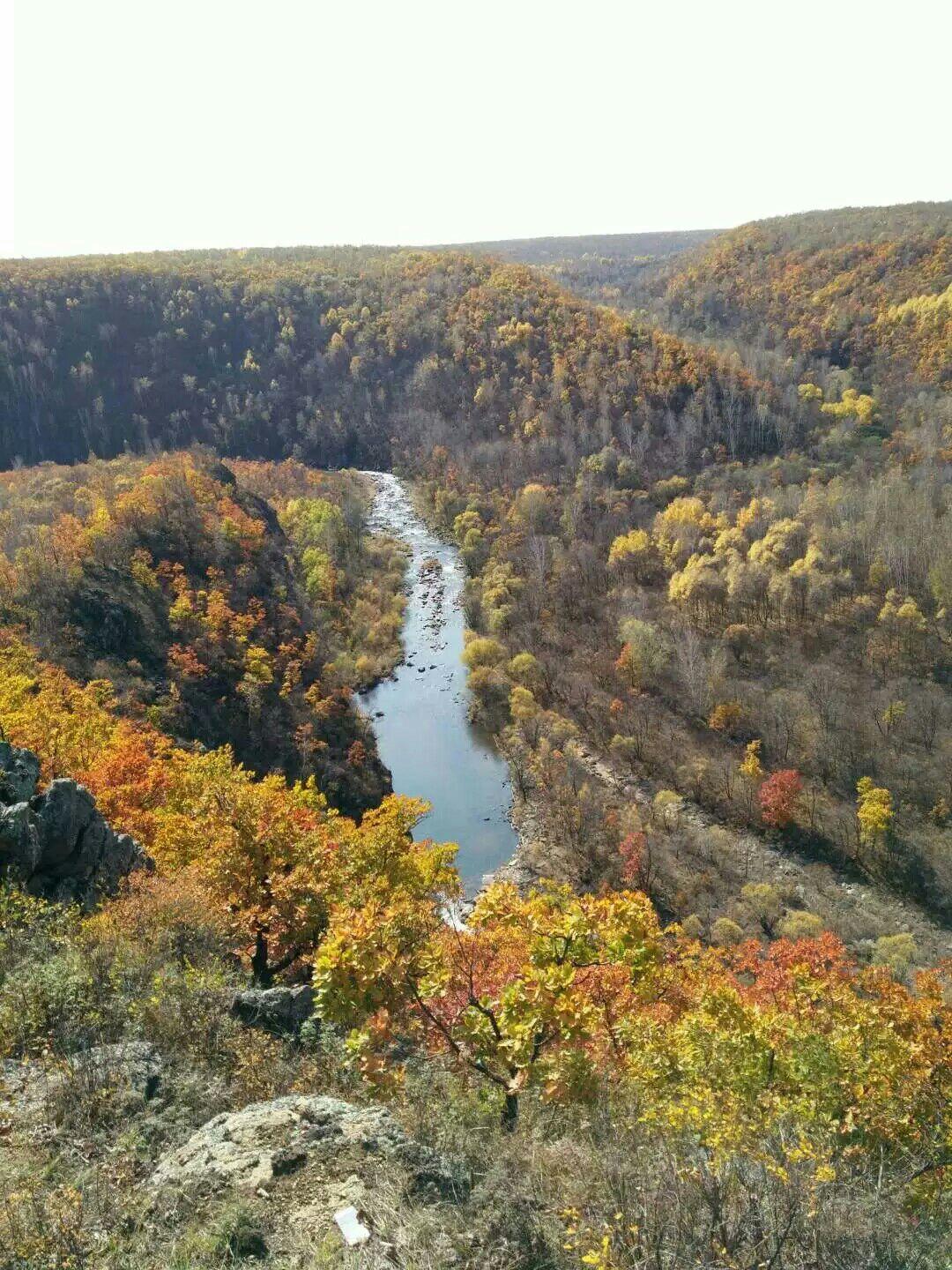 那些瞒着家长偷偷修改高考志愿的,后来都怎样