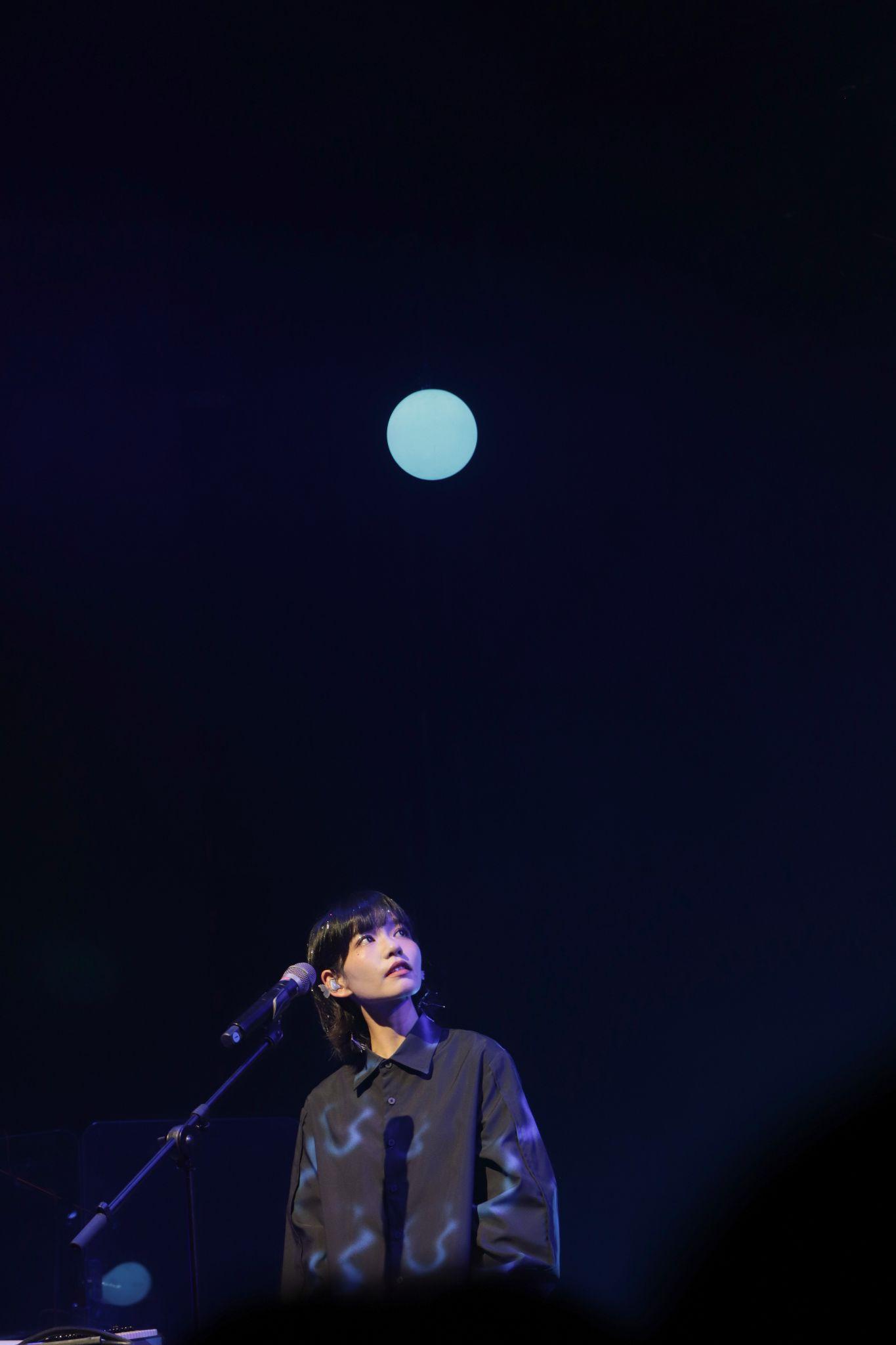 请给我房东的猫的高清无水印图好吗