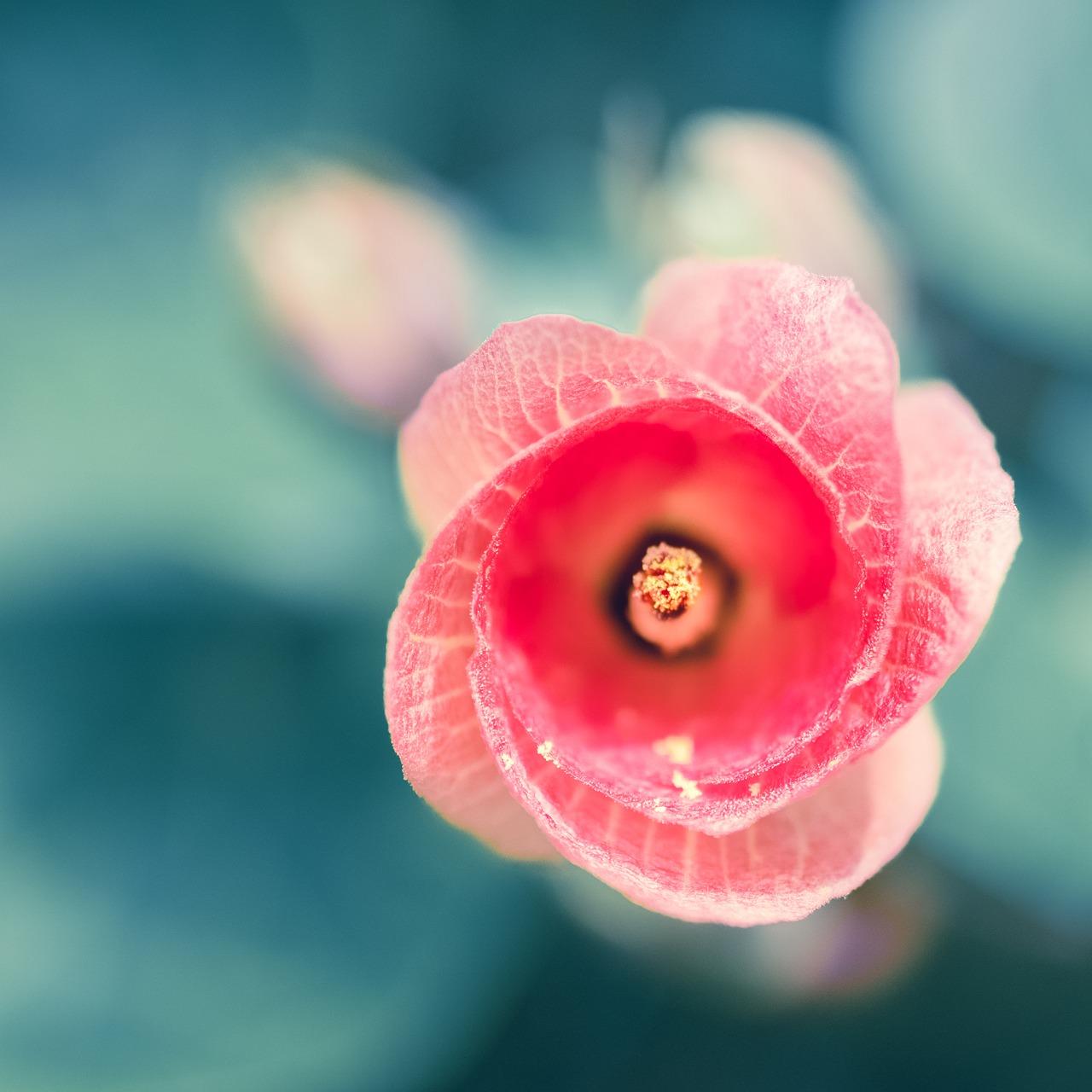 2. 花都地理广度览
