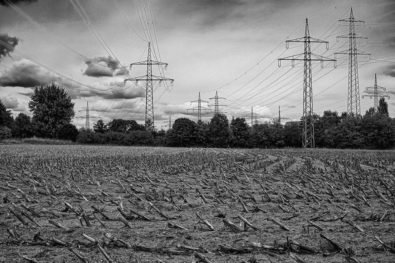 4. 城市规划红线内