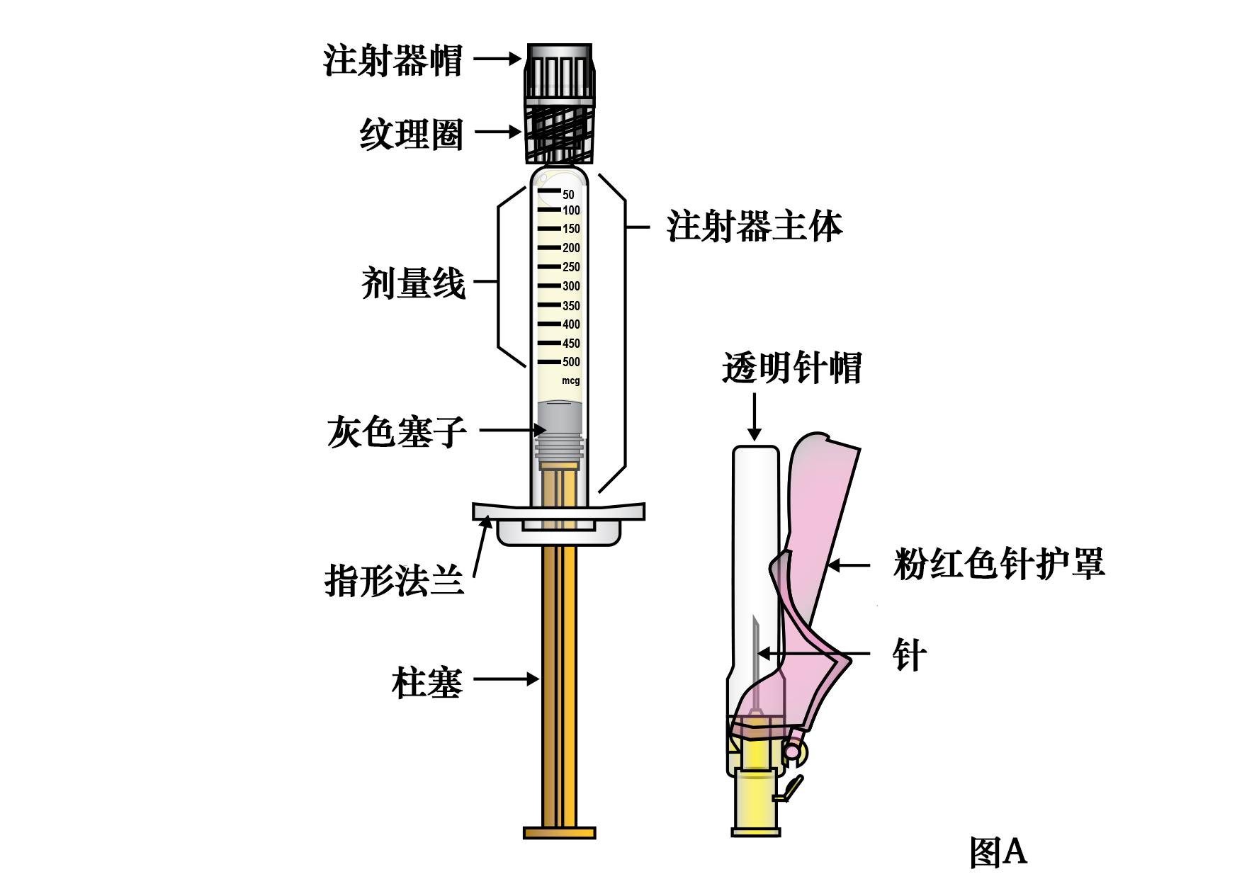 干扰素上药过程图图片