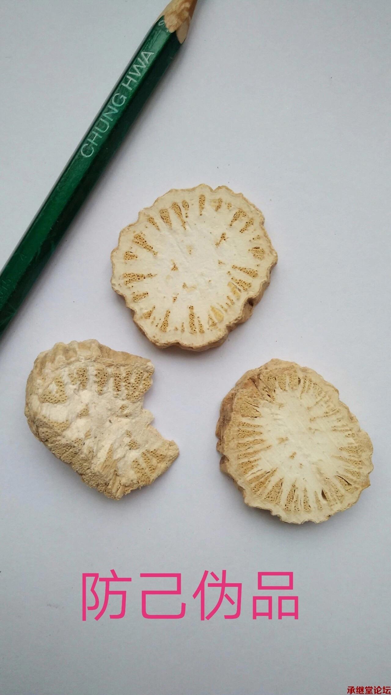 请熟悉中药材的老师回答一下防己如何鉴别最好有图片说明谢谢