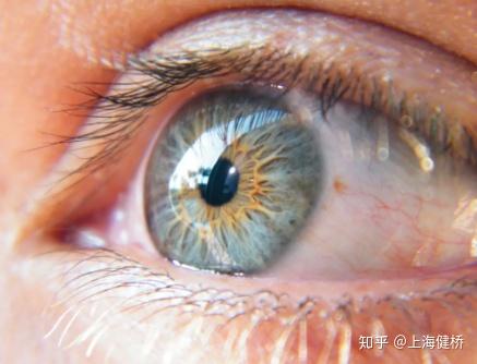v2-413bca2a4f684b11a2dcce87caa1ac94_r.jpg