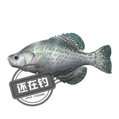 如何看待南京大学陈昌凯老师在本科生毕业典礼上没有谈成功与理想，而是叮嘱毕业生「按时吃饭、好好睡觉」？