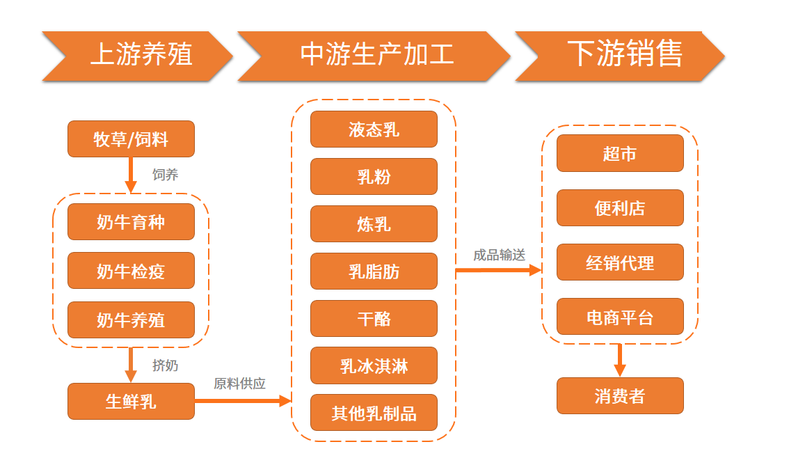 一.中国乳制品产业链结构