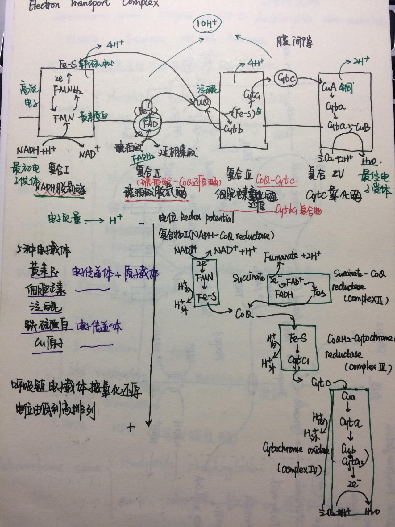 如何记高质量的日记\/工作日志\/学习日志? - Ab