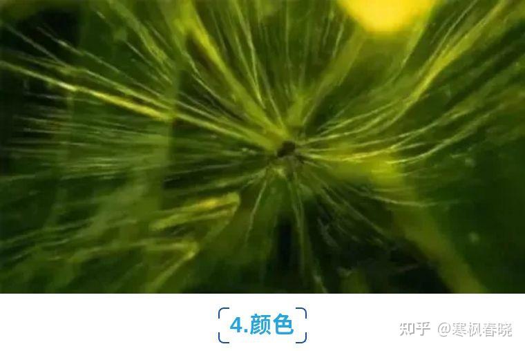 多数翠榴石都是绿色,但也有黄绿色和褐绿色的翠榴石存在.