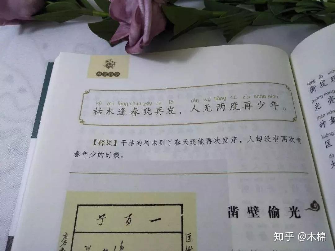 废掉一个小孩最快的方式是你要加油田宏杰木棉说演讲第4位讲者