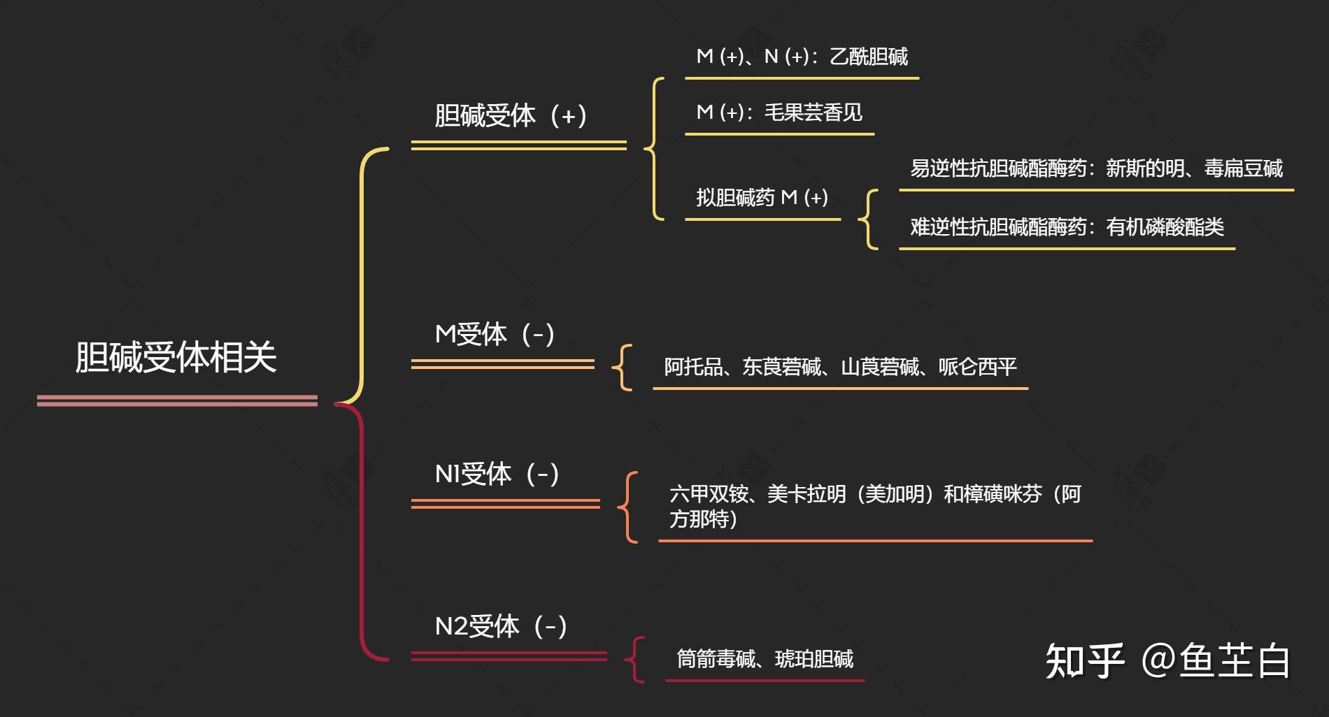 中级药师考试药理学传出神经系统药物整理