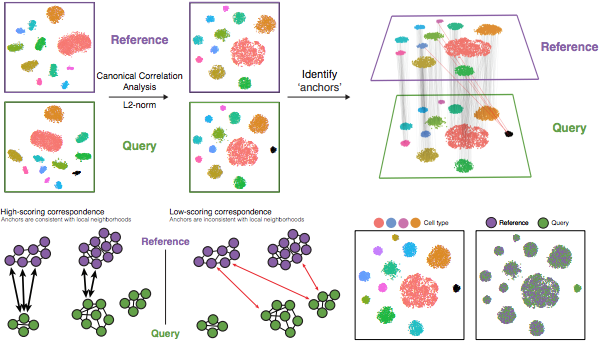 Sct Pattern scRNA-seq——第六章 SCT和聚合方法 - 知乎