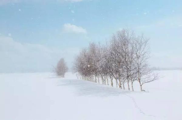 雪景 美食 温泉这样的浪漫冬季 只在北海道 知乎