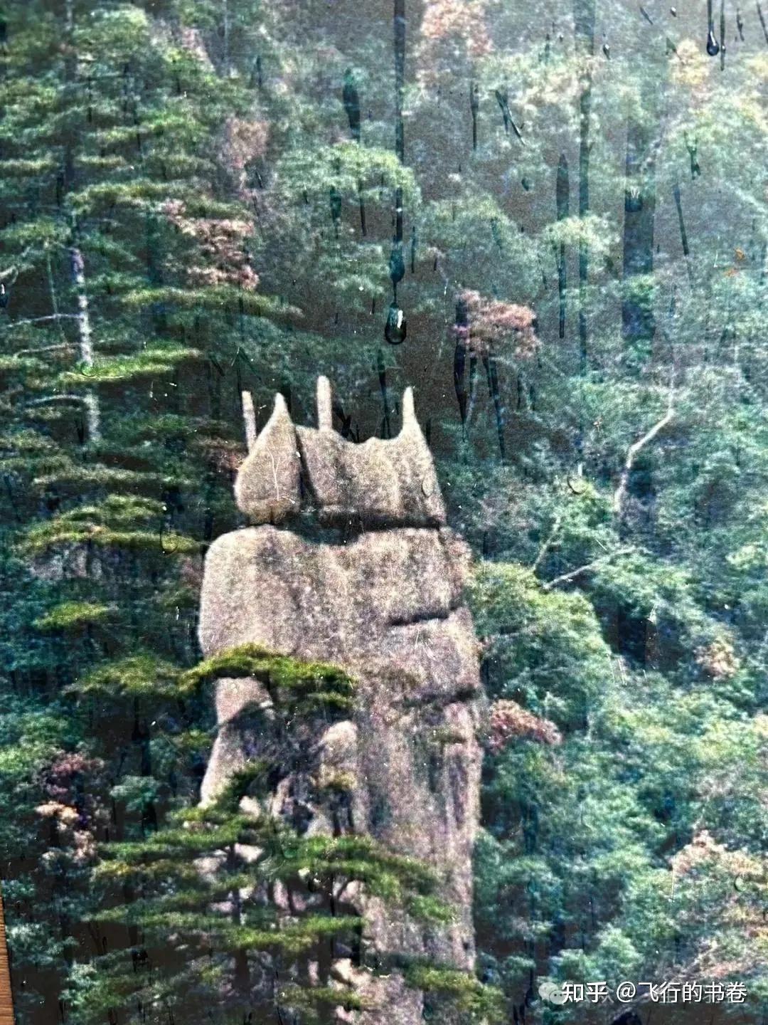 黄山雨中独行记(一):从云谷寺徒步到白鹅岭,一路有啥美景? - 知乎
