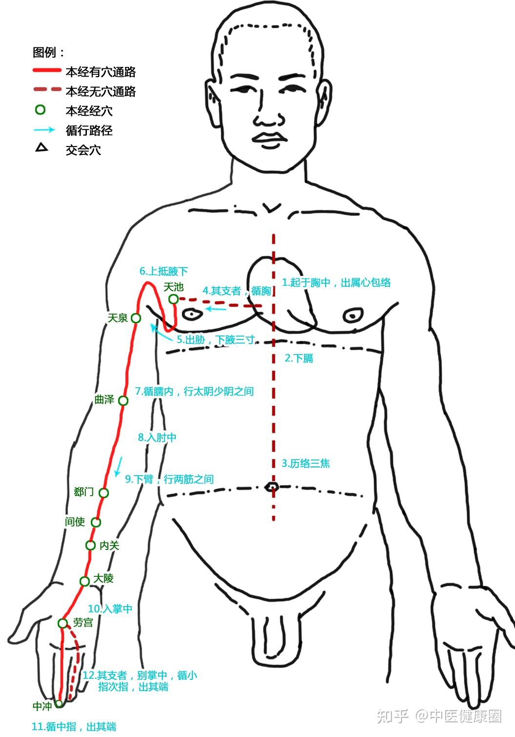 心包经走向经络图图片