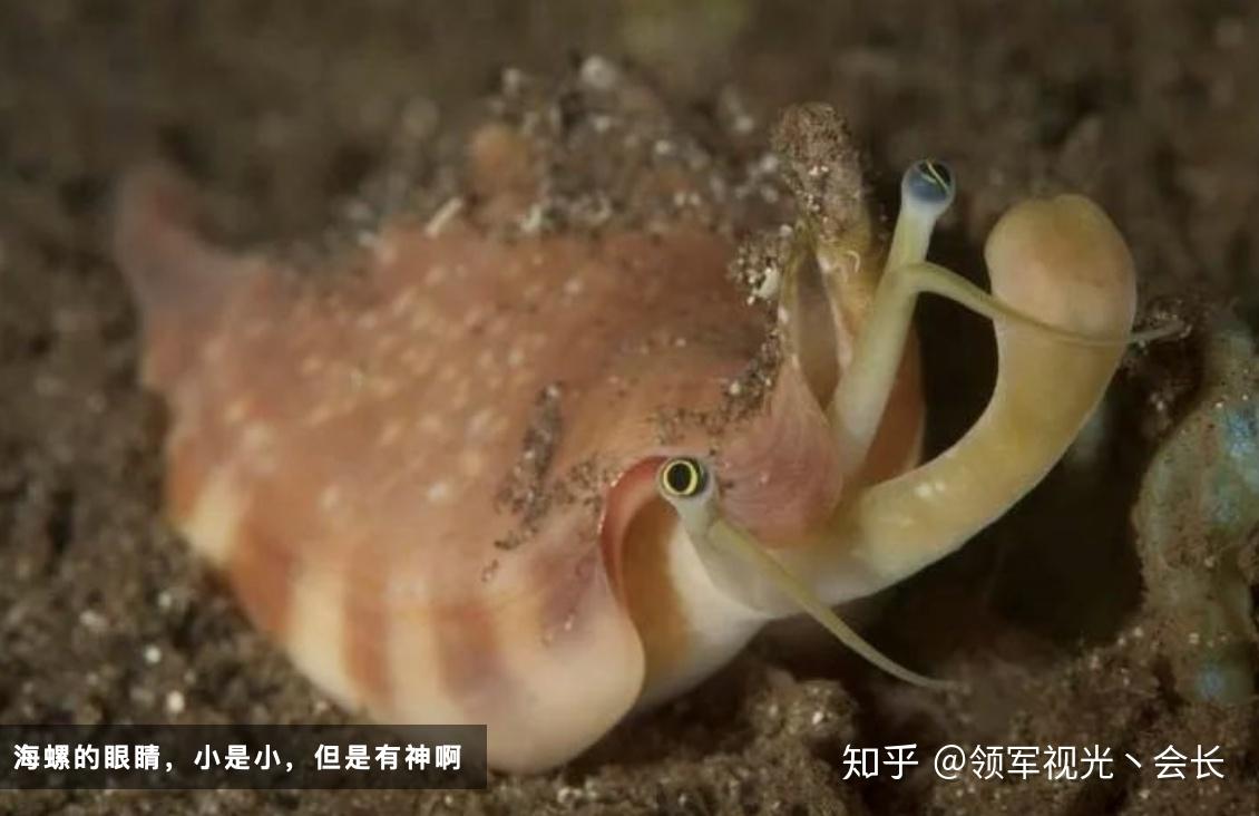 佩戴隐形眼镜时这些事千万不要做